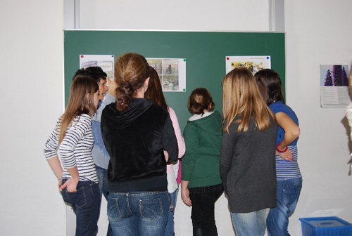 Christian-Doppler-Gymnasium Salzburg Unterstufe